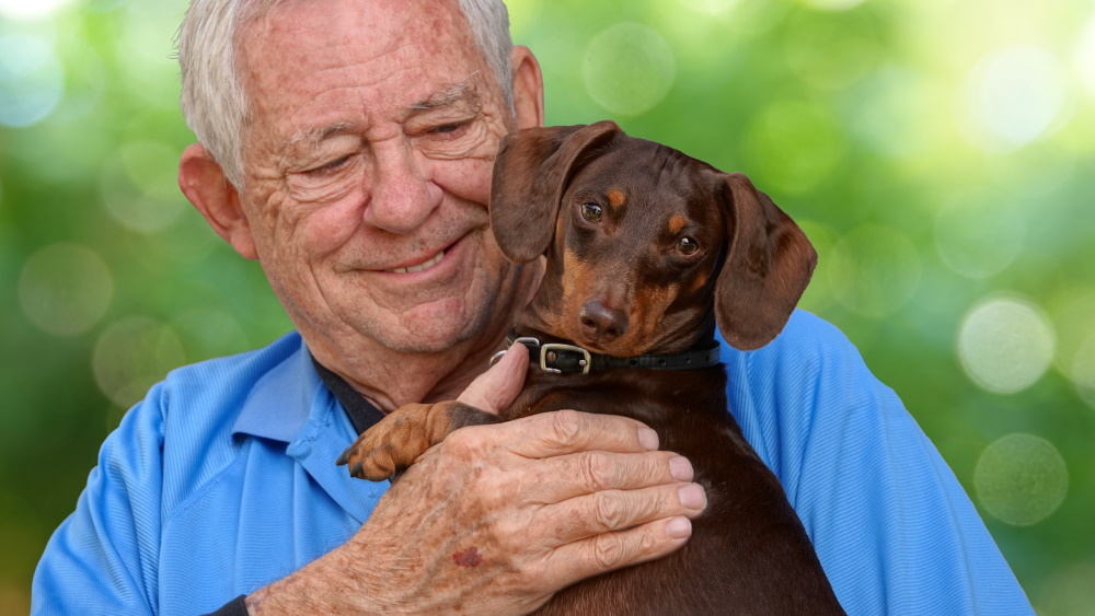 how-to-choose-a-pet-friendly-assisted-living-community-premier-senior